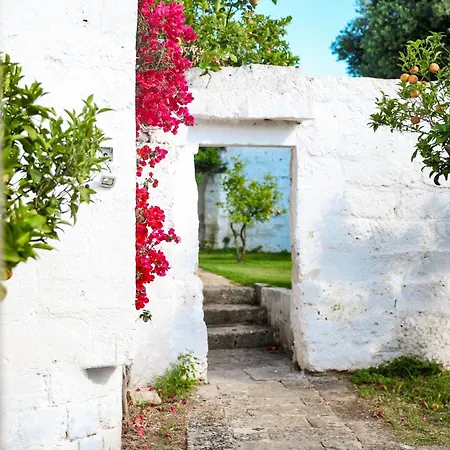 Masseria Piccole Taverne Rosa Marina Exterior photo