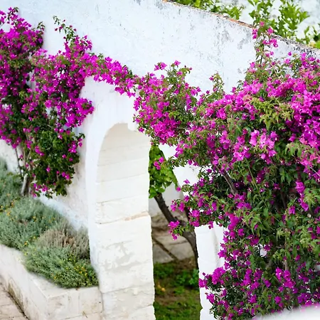 Masseria Piccole Taverne Rosa Marina Exterior photo