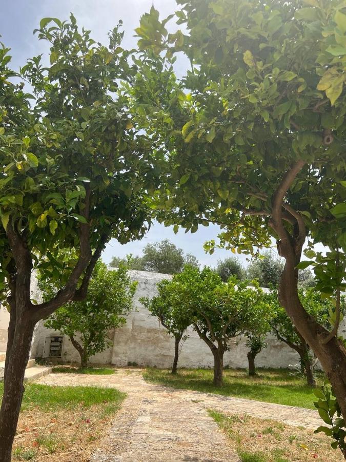 Masseria Piccole Taverne Bauernhof *
