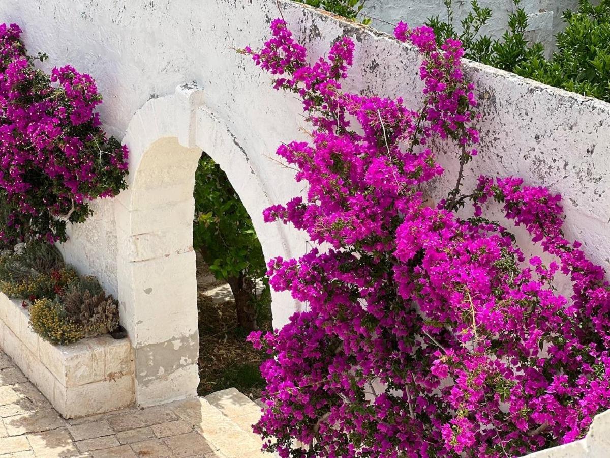 Masseria Piccole Taverne Bauernhof