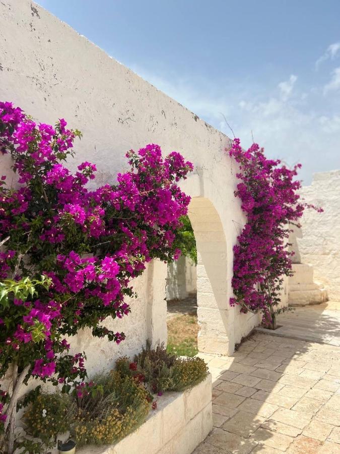Masseria Piccole Taverne Bauernhof Rosa Marina