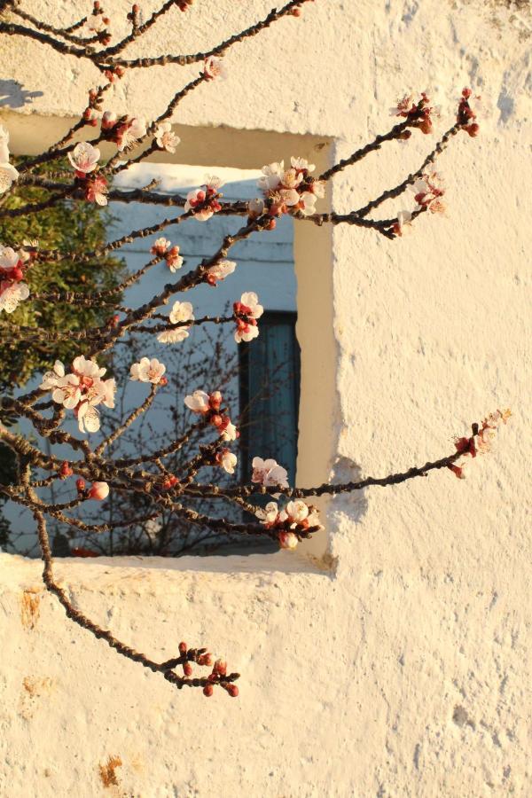 Masseria Piccole Taverne Rosa Marina