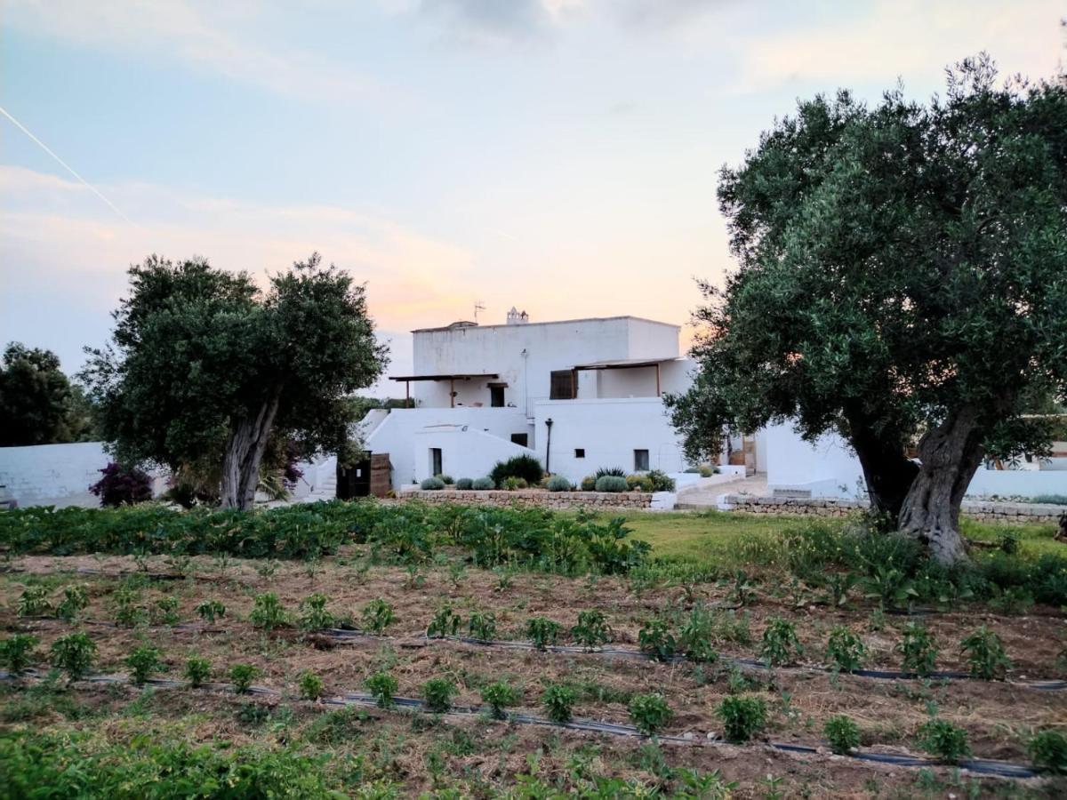 Masseria Piccole Taverne *
