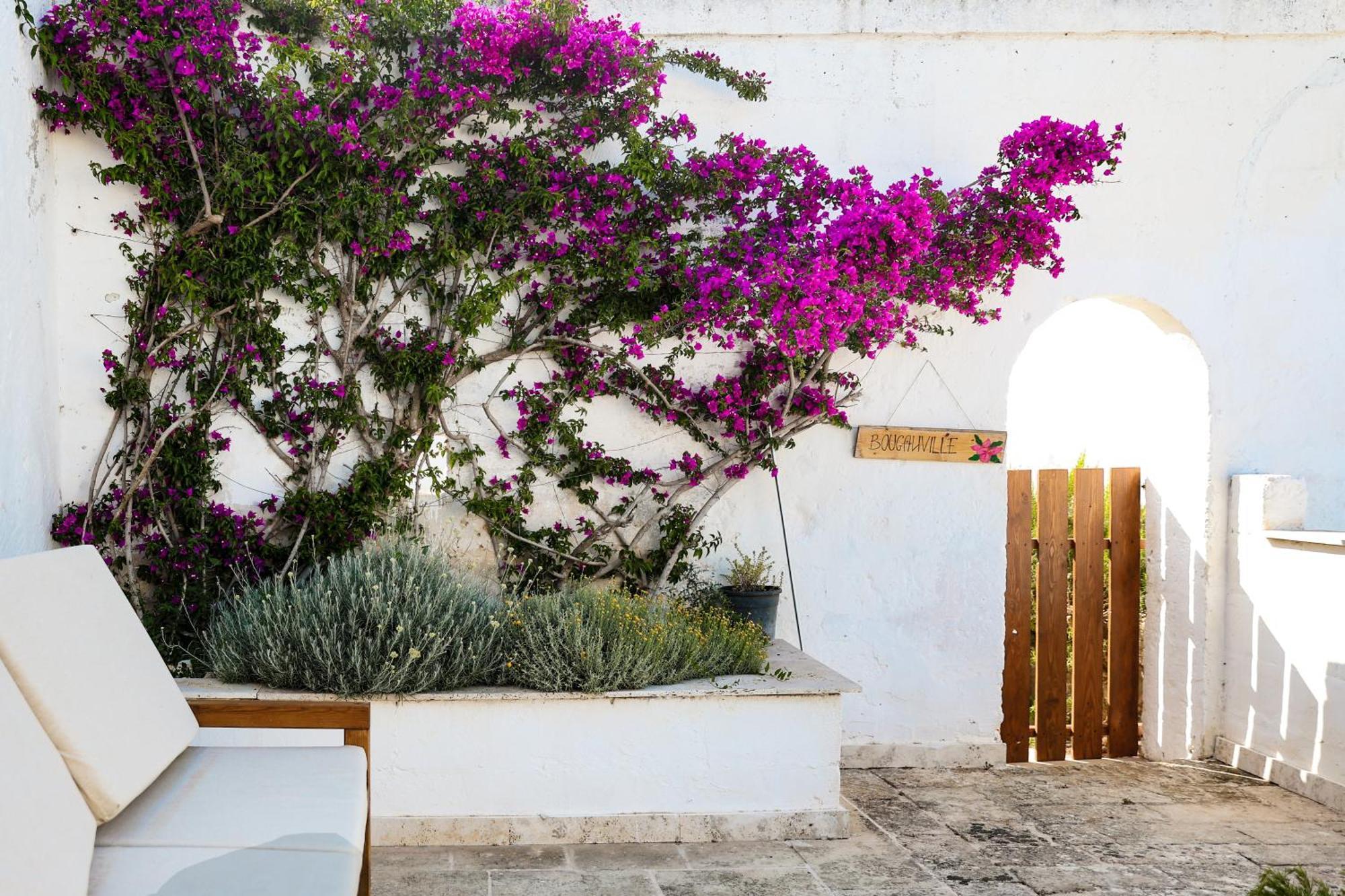 Masseria Piccole Taverne * Rosa Marina