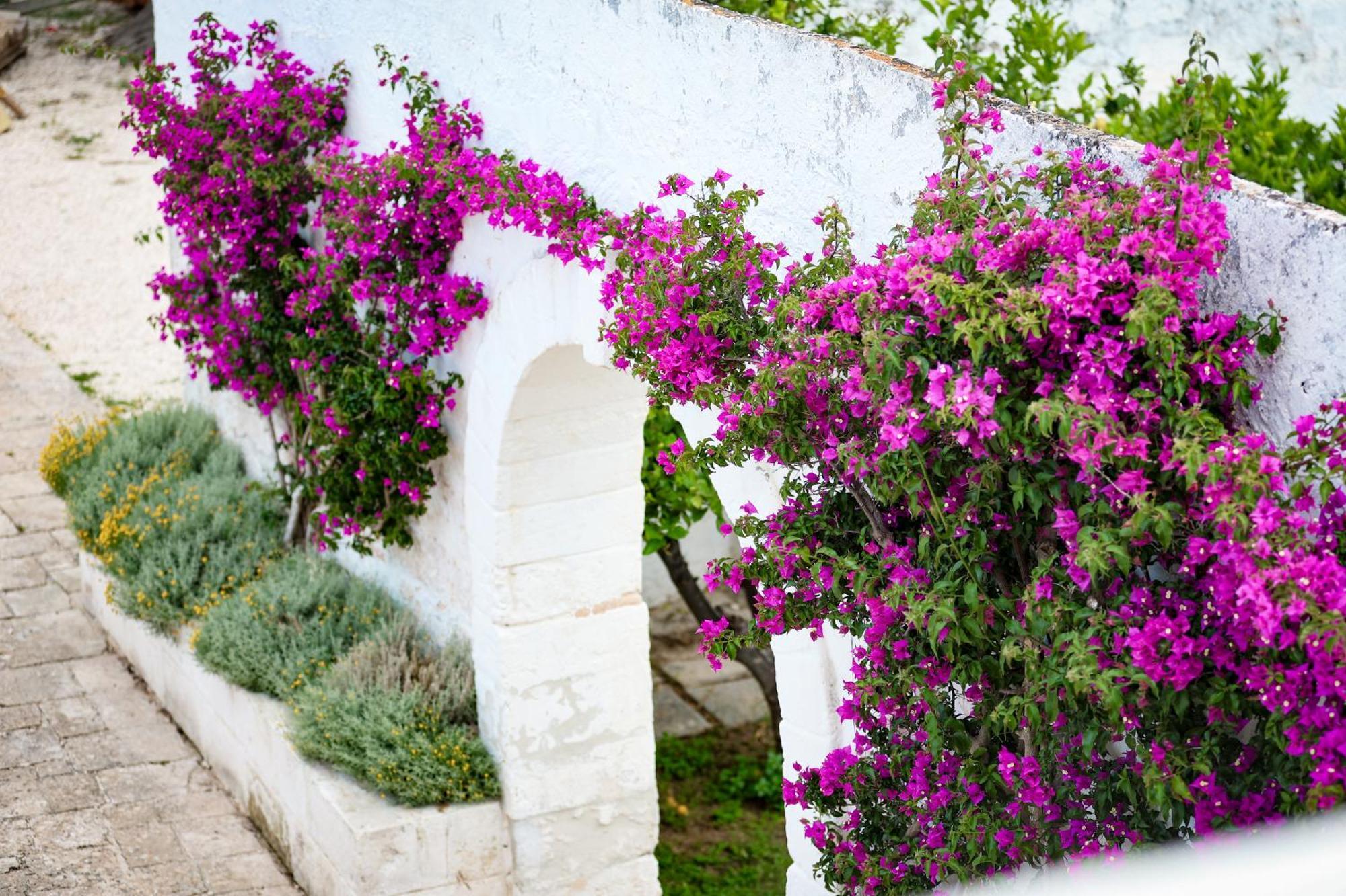Masseria Piccole Taverne Bauernhof