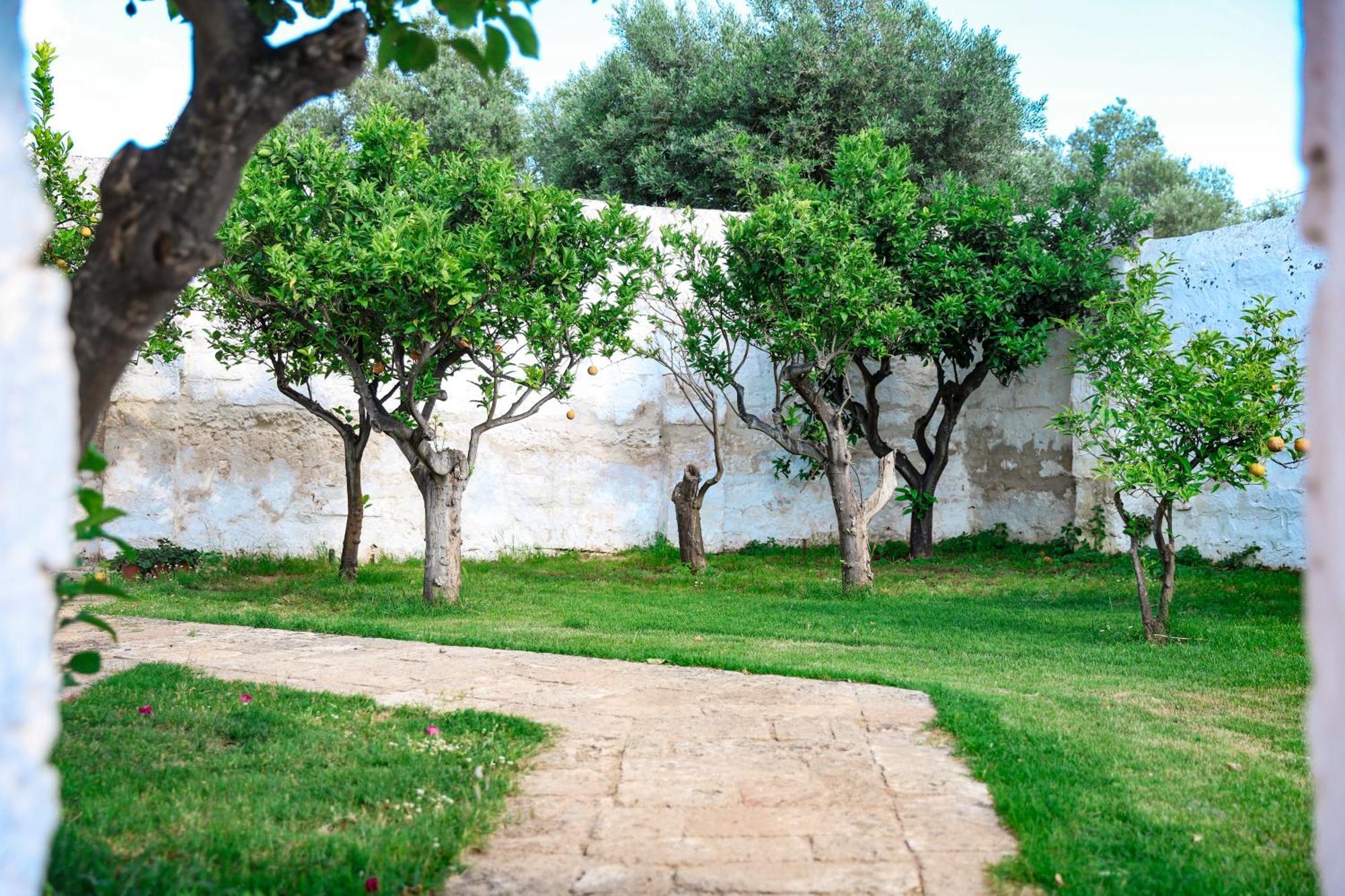 Masseria Piccole Taverne *